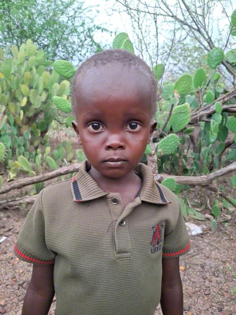 Psalms Kigen