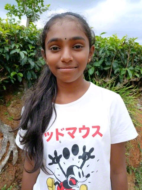 Sanushana