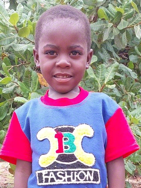 Wilson Araisse
