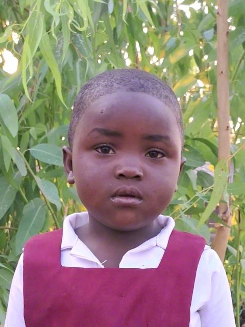 Shamimu