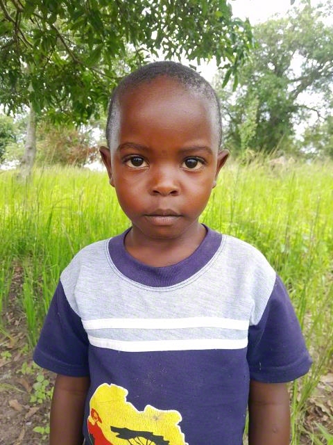 Martin Jnr