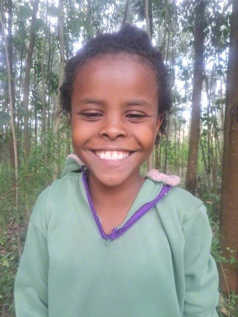 Meseret