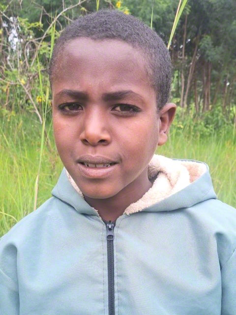Mengesha