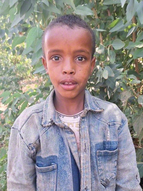 Ferehan