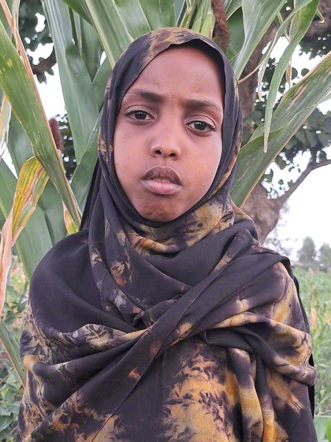 Arifa