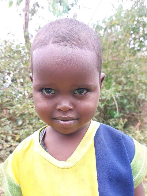Mosisa