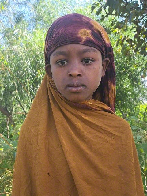 Sifaan