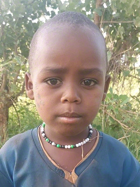 Ebisa