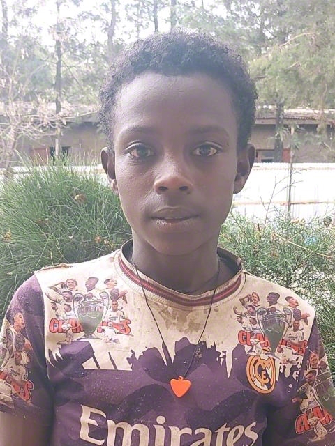 Bereket