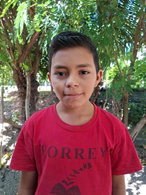 Dilan F