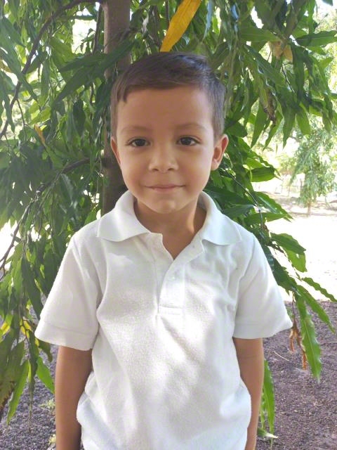 Elvin Josue
