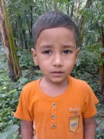 Tajul