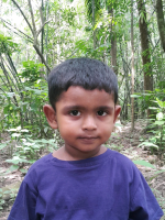 Rafi