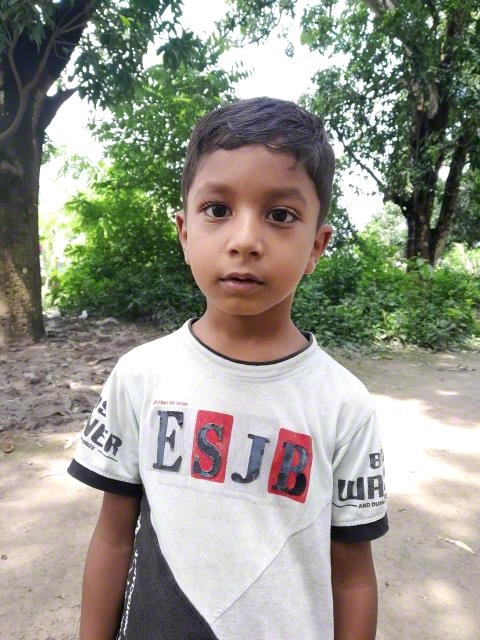 Hasib