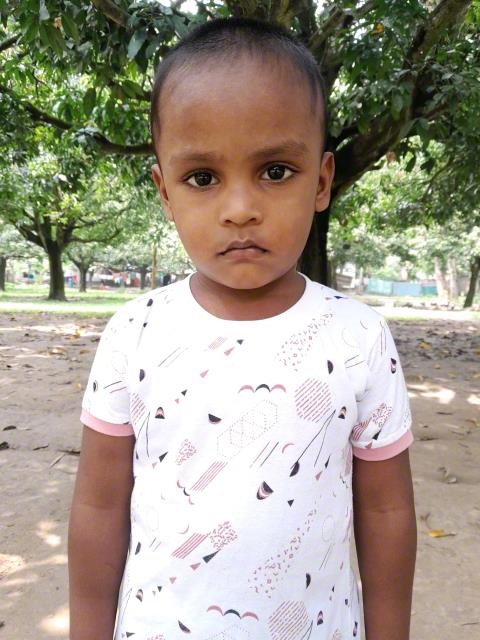 Mehedi Md