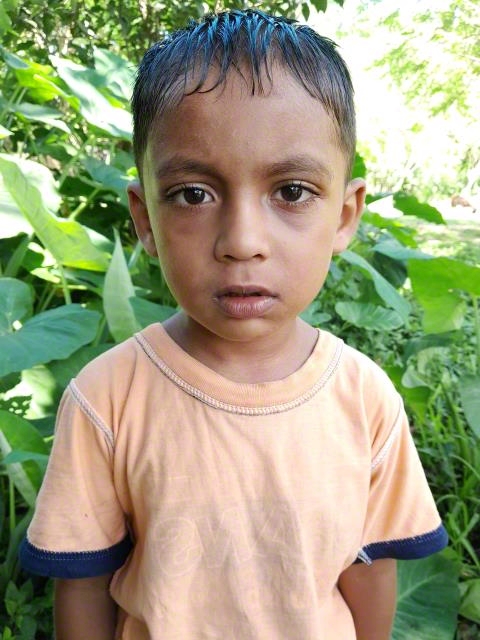 Abul
