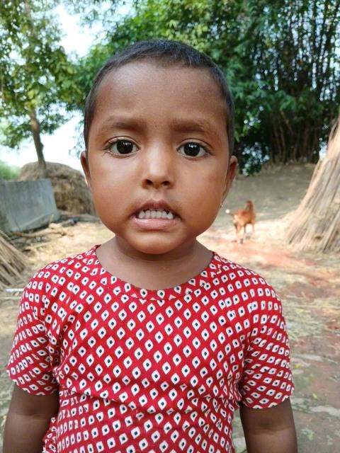 Shreemoti Mithi