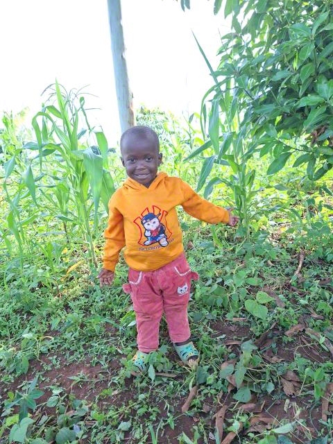 Alamanzani